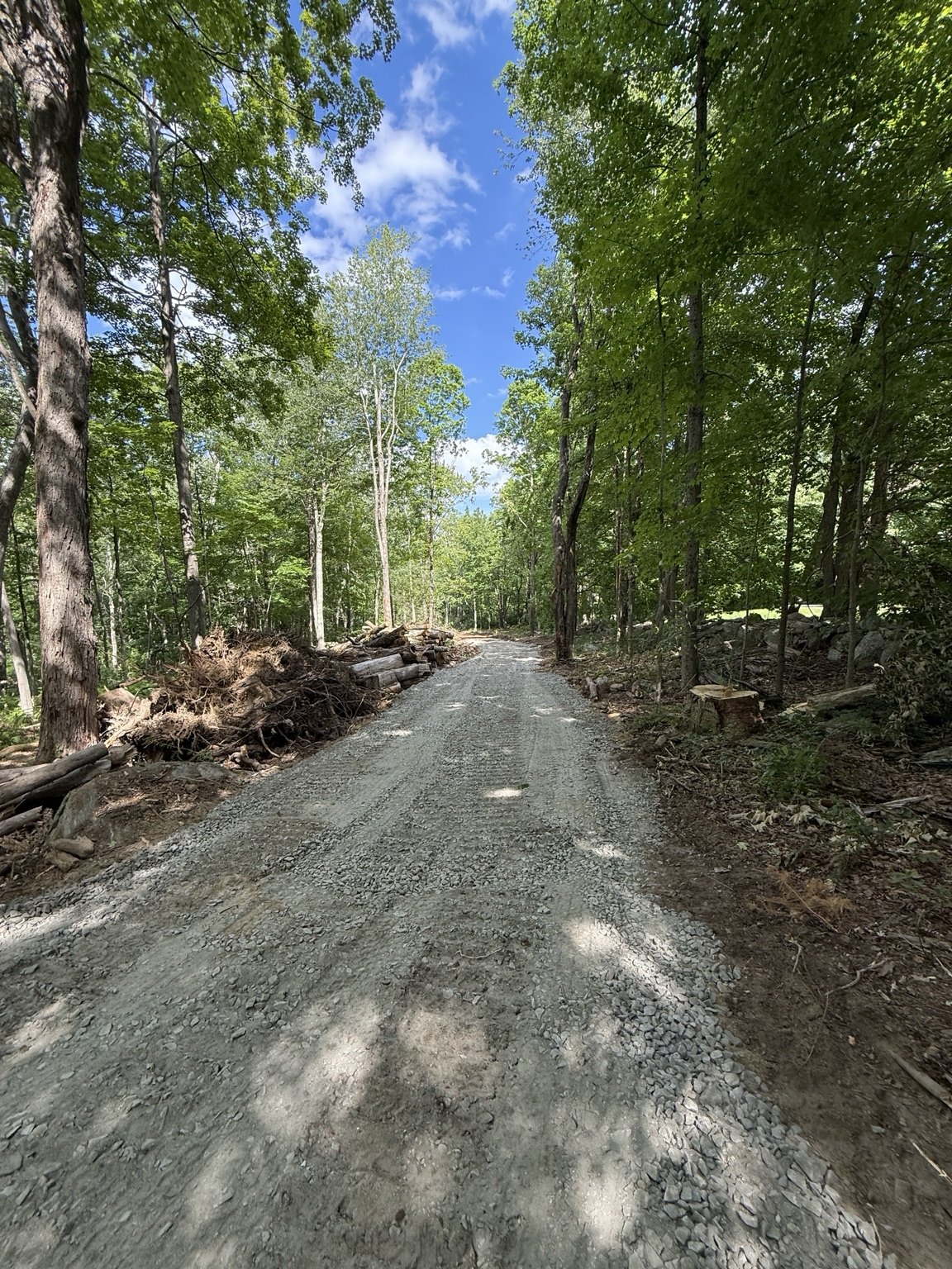 Finished stone driveway through woods