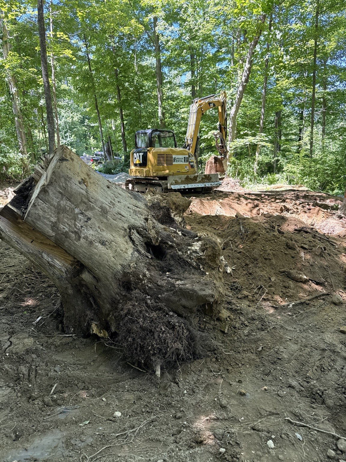 Excavator removing a large stump