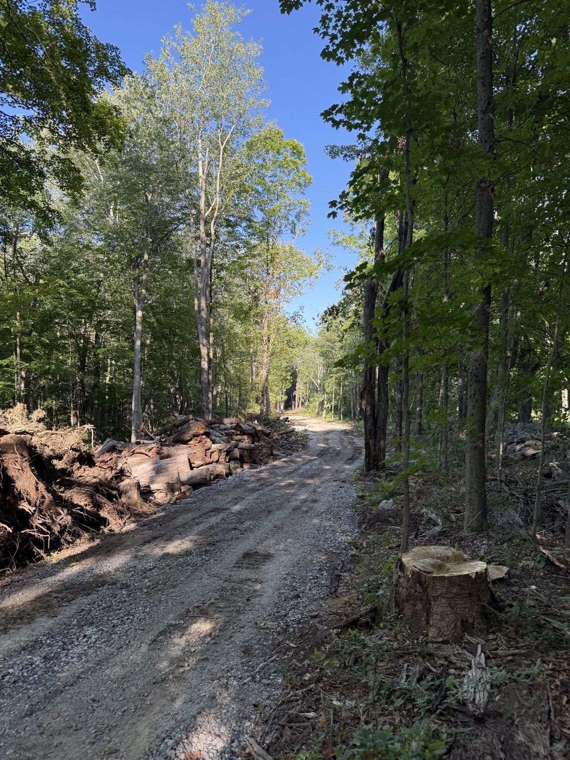 Driveway corridor after gravel base installation