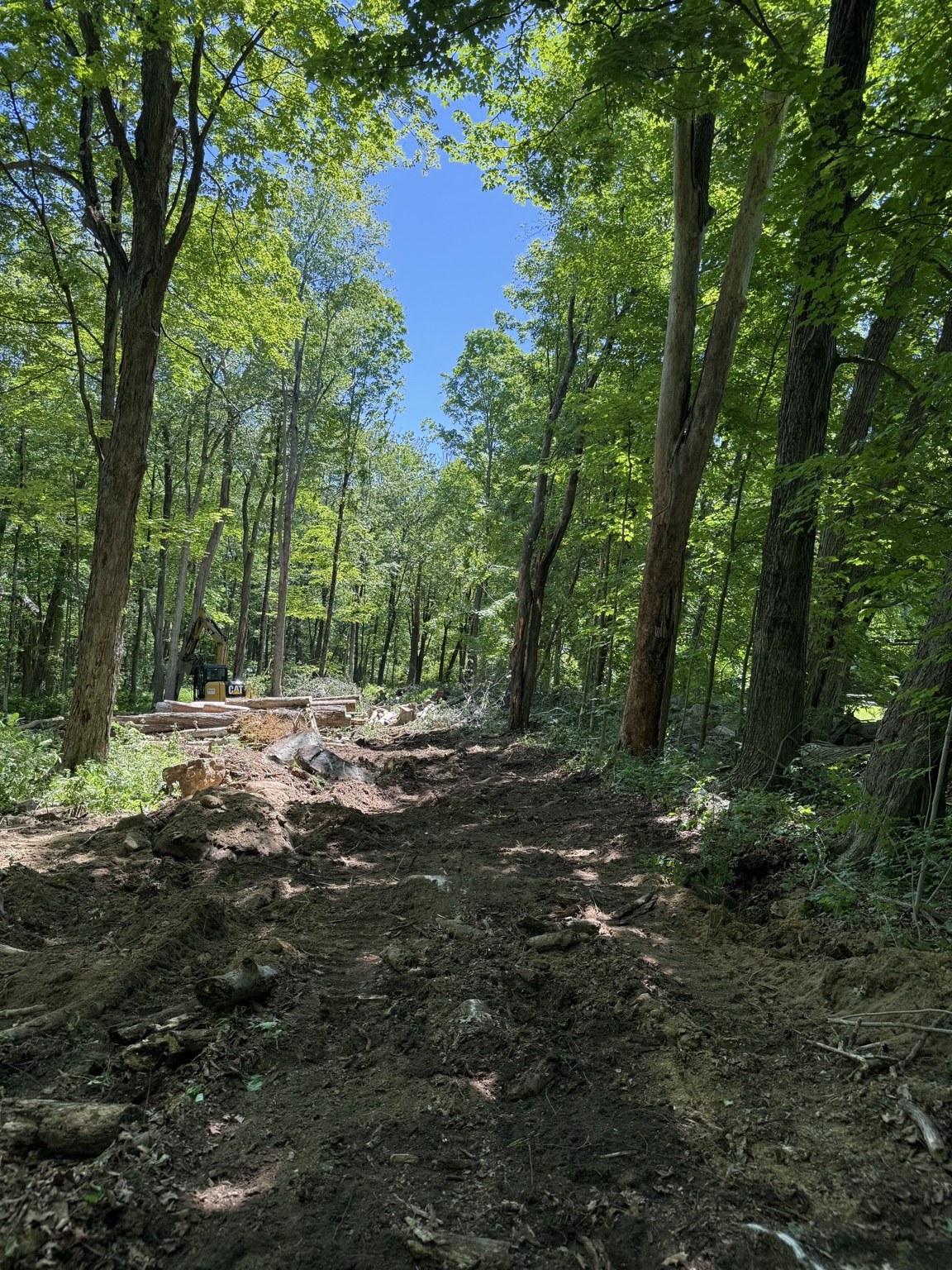 Site image showing clearing started and early path work