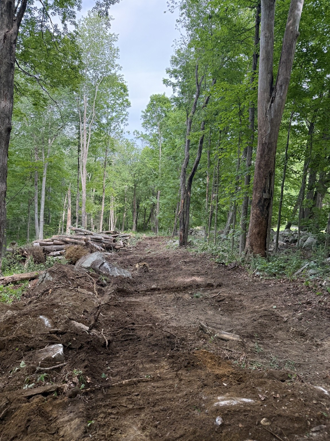 Driveway corridor cleared before gravel installation